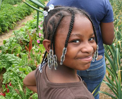 Michaela Harvesting