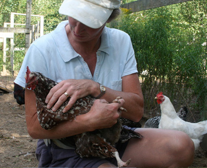 Beth with the Hens